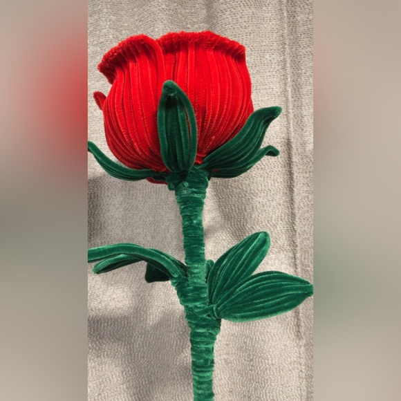 Red Rose - Picture 4 of 4